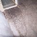 Bat Damage Repair CT