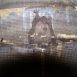 Bat Removal CT