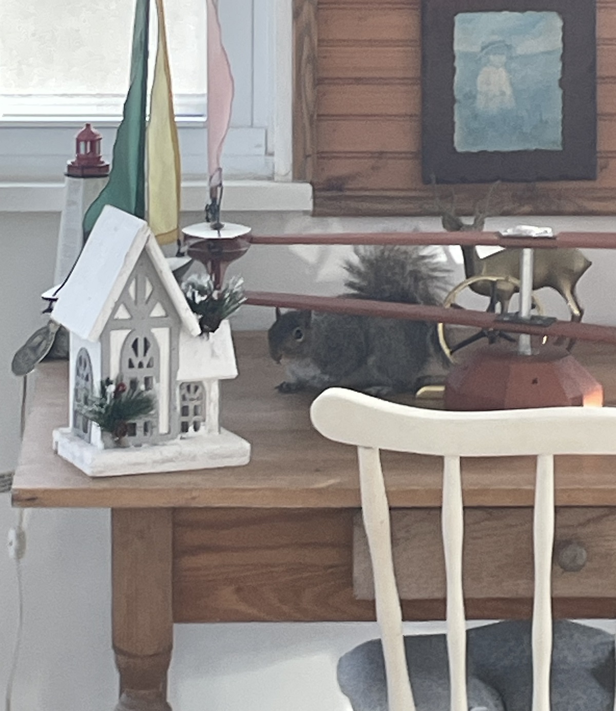 One way door squirrel removal Connecticut